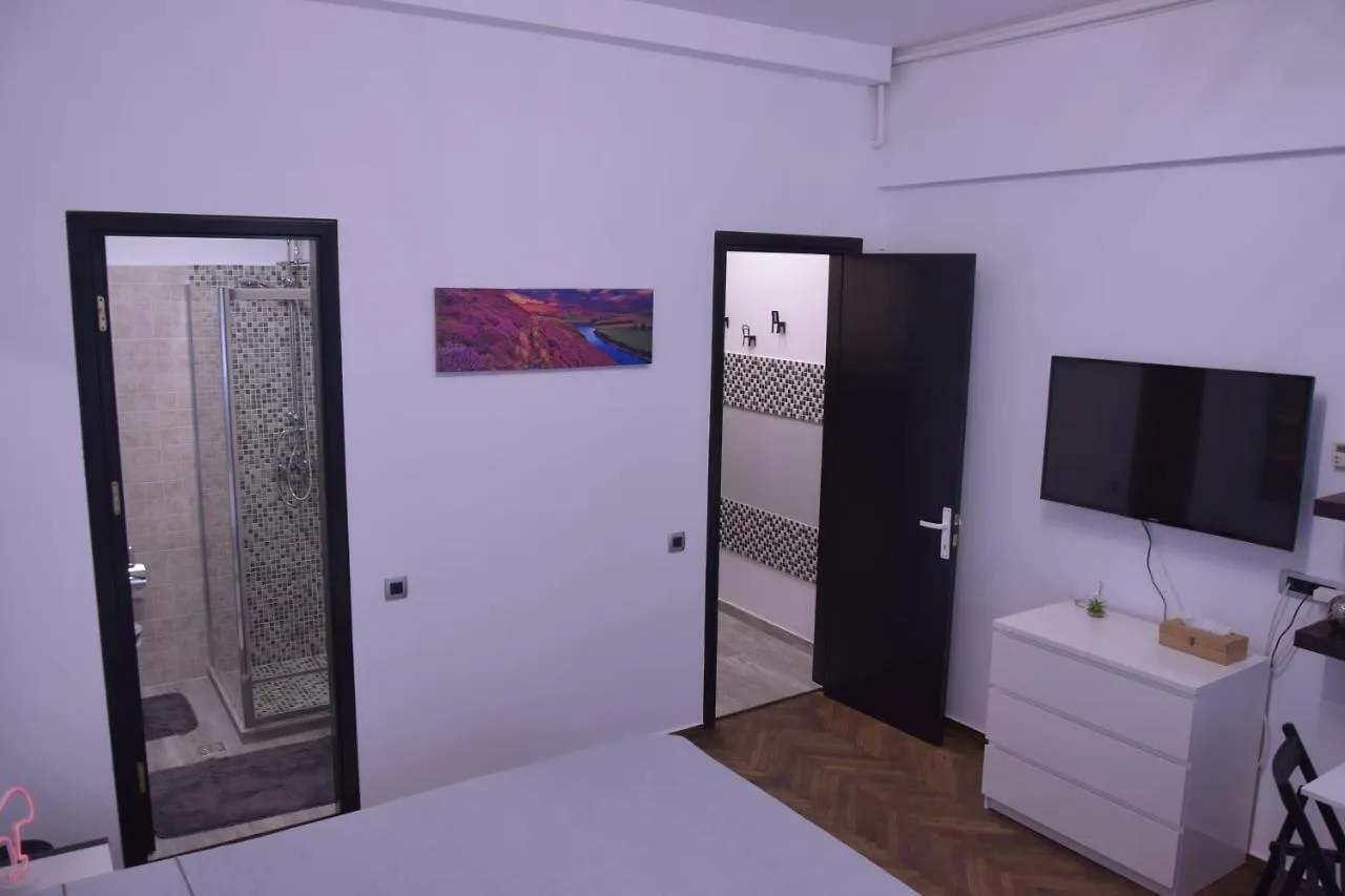 M&M Intercontinental Vasile Conta Nr.3-5 Hotel Bucharest Apartment